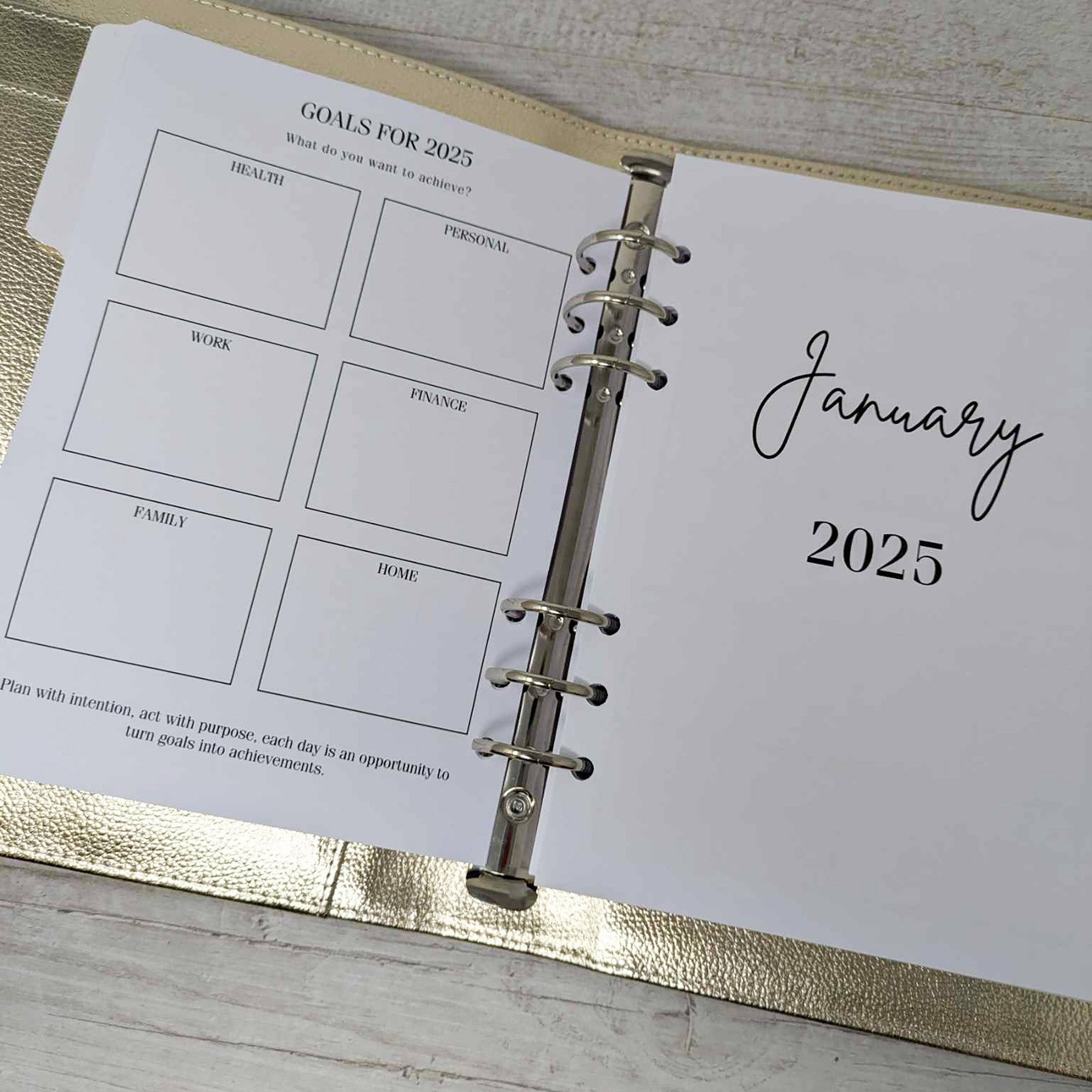 2025 Dated Diary With Budget Planner & Gold Organiser.